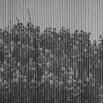 Circusee 200cm×420cm Acrylic on Canvas 2014