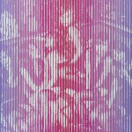 Sofa 90cm×120cm Acrylic on Canvas 2015