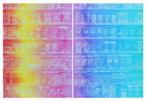 Daily Suplies 120cm×90×2 cm Acrylic on Canvas 2016